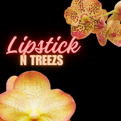 Matte lip gloss 4 (Bundle 35 pcs)